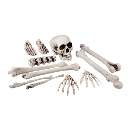 Lote de 12 calaveras y huesos de 23 cm – Decoración de Halloween