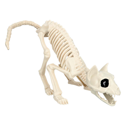 Esqueleto de gato 49 x 18 x 14 cm – Decoración de Halloween