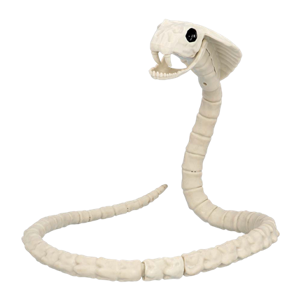 Esqueleto de serpiente de 102 cm – Decoración de Halloween