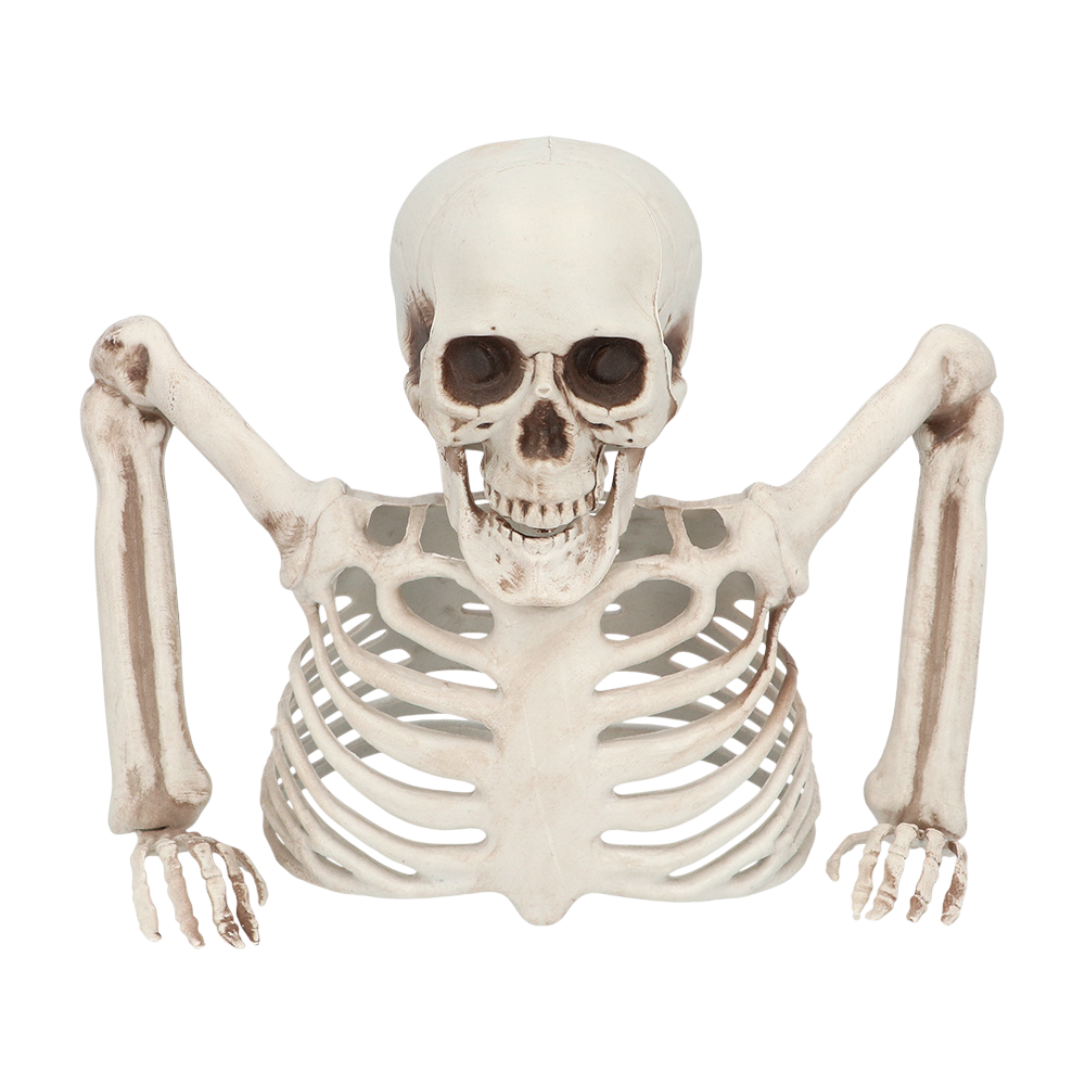 Esqueleto que sale del suelo, 20 cm – Decoración de Halloween