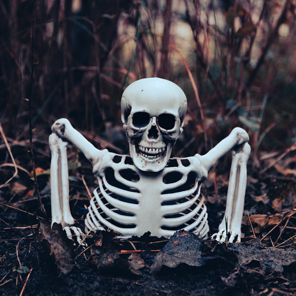 Esqueleto que sale del suelo, 20 cm – Decoración de Halloween