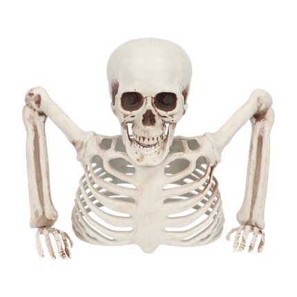 Esqueleto que sale del suelo, 20 cm – Decoración de Halloween