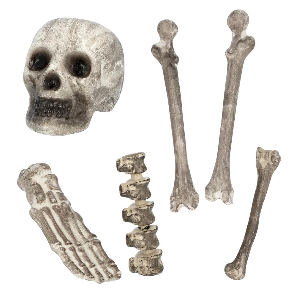 Lote de 6 calaveras y huesos – Decoración de Halloween