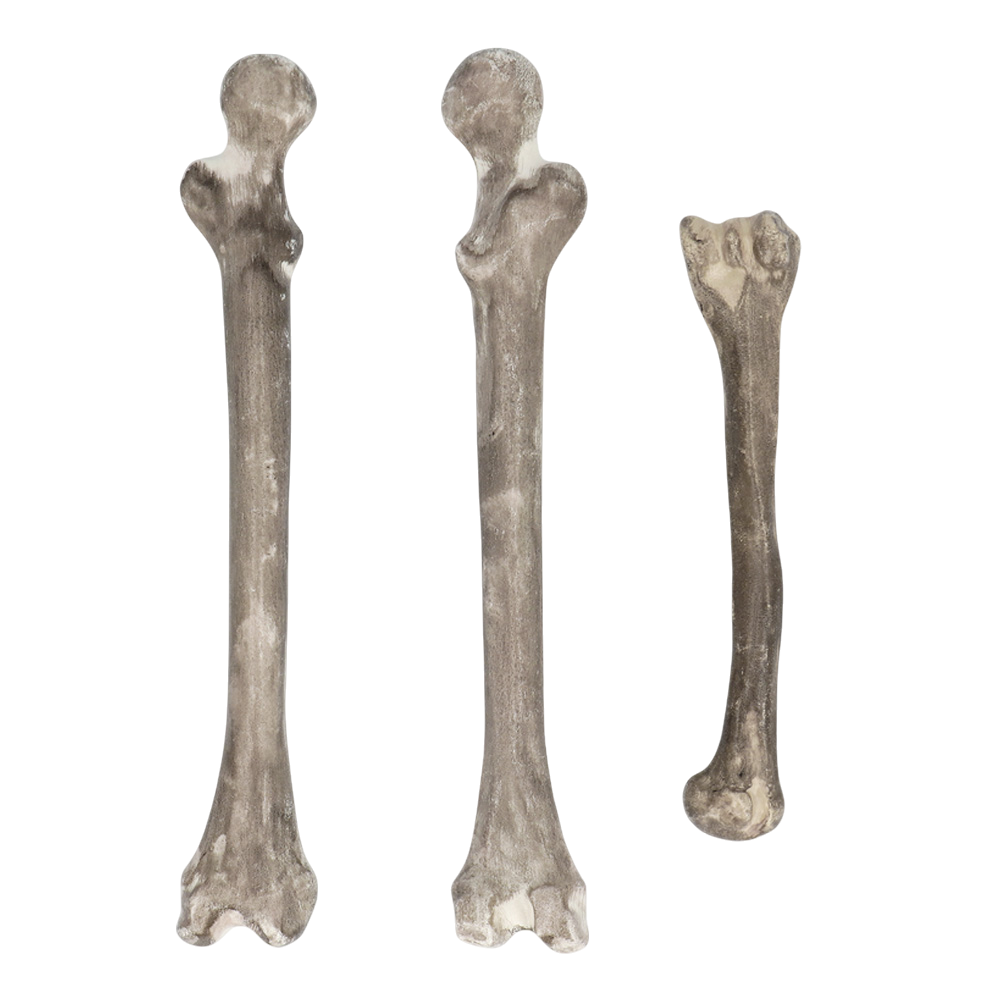 Lote de 6 calaveras y huesos – Decoración de Halloween