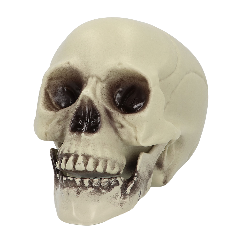 Calavera decorativa de 15 x 20 x 16 cm – Halloween