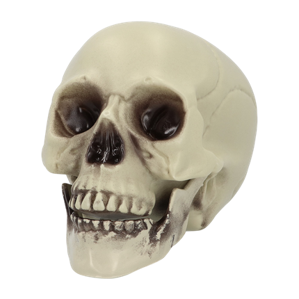 Calavera decorativa de 15 x 20 x 16 cm – Halloween