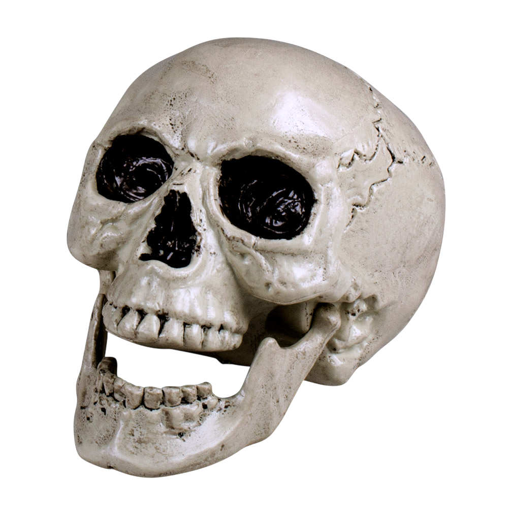 Calavera blanca con mandíbula móvil, 24 cm – Decoración de Halloween