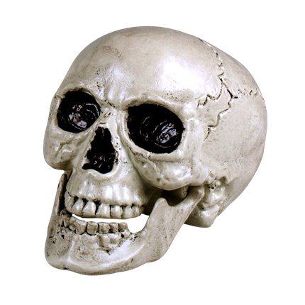 Calavera blanca con mandíbula móvil, 24 cm – Decoración de Halloween