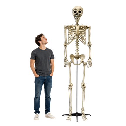 Esqueleto gigante de 240 cm – Decoración de Halloween