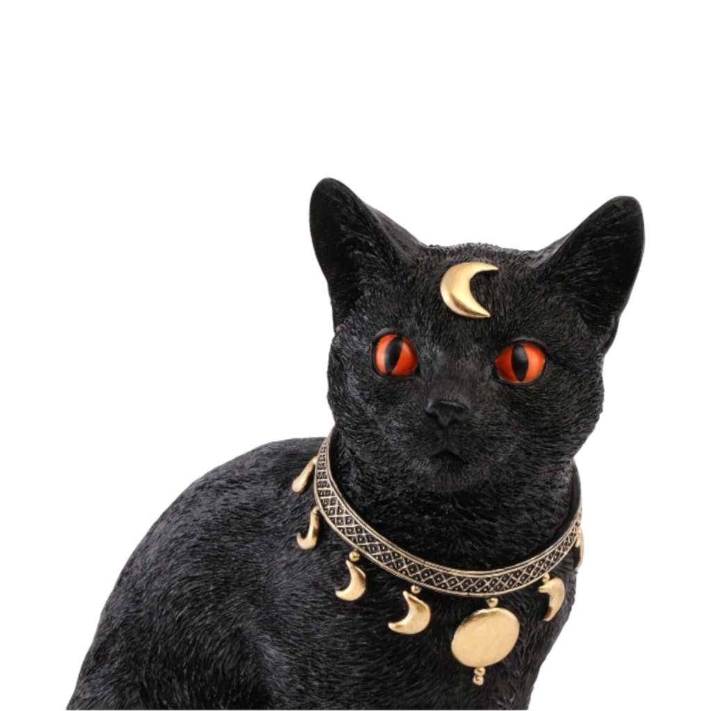 Gato negro místico de 28 cm – Decoración de Halloween