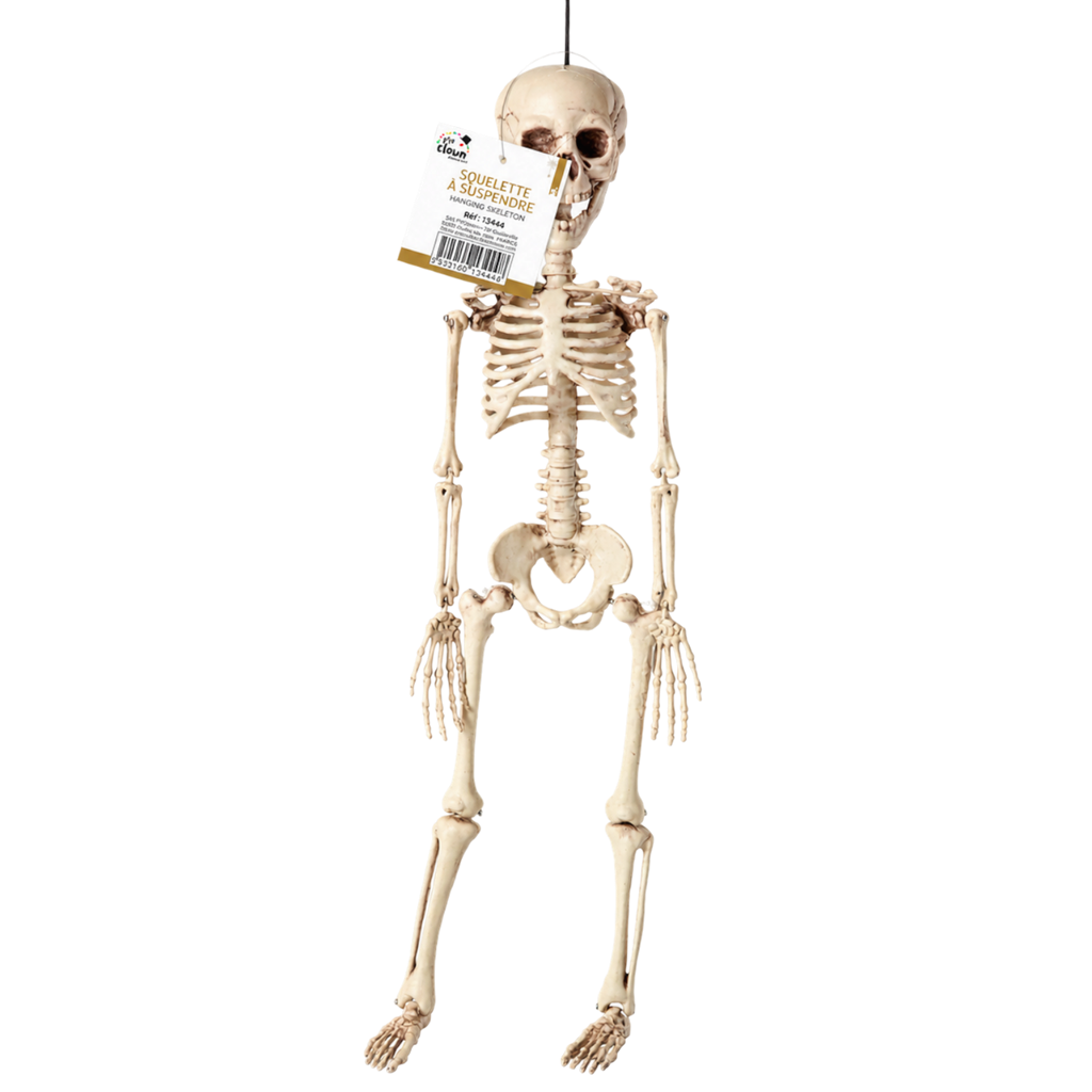 Esqueleto para colgar de 40 cm – Decoración de Halloween
