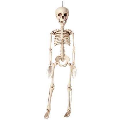 Esqueleto para colgar de 40 cm – Decoración de Halloween