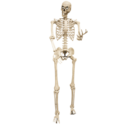 Esqueleto gigante luminoso de 3,18 m – Decoración de Halloween XXL